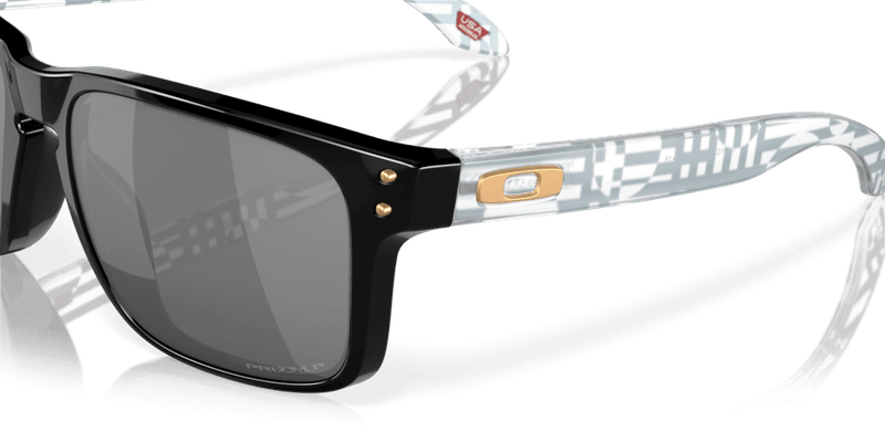 Oakley Holbrook Introspect Collection